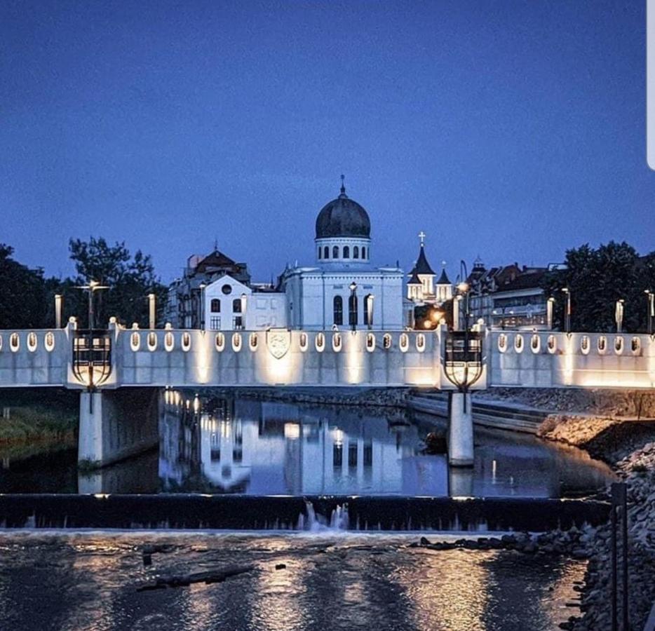 Panoramic Apartments Oradea Bagian luar foto